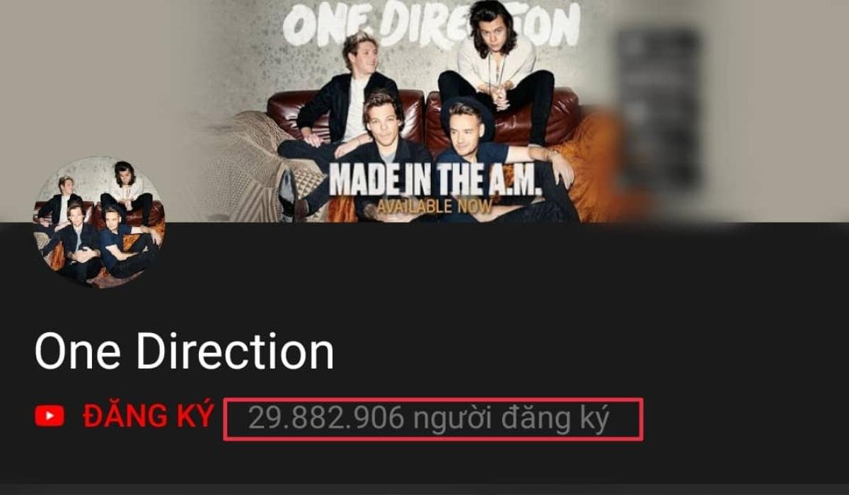 Vượt mặt One Direction, BlackPink chính thức trở thành nhóm nhạc được theo dõi nhiều nhất trên Youtube Ảnh 3