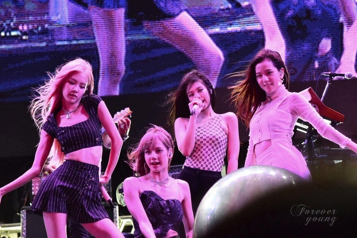 Choáng với doanh thu Youtube của BlackPink: Mỗi tháng 'bỏ túi' lợi nhuận tương đương 1 concert, cao hơn cả SM và JYP Ảnh 7