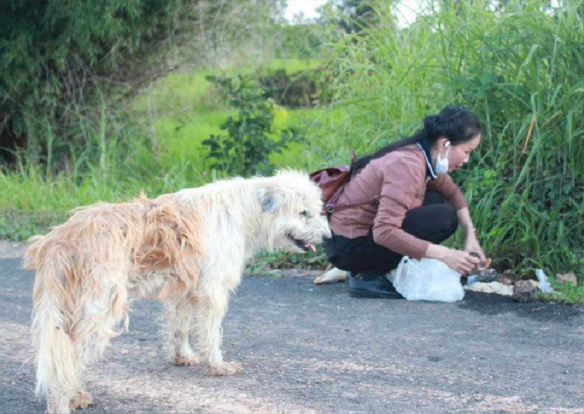 Chó trung thành đứng đợi chủ suốt 4 năm và cái kết bất ngờ Ảnh 2