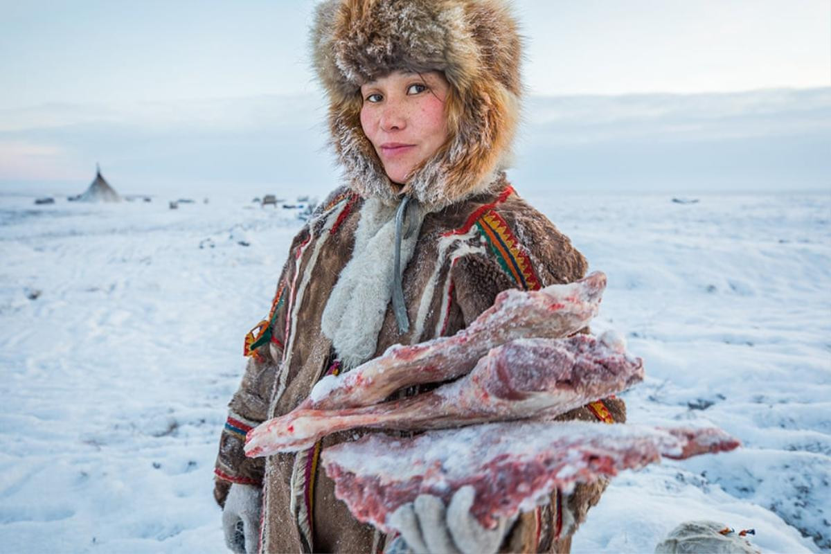 Nenets, bộ lạc sống du mục hàng ngàn năm cạnh tuần lộc và những chú chó ở Bắc Cực Ảnh 1