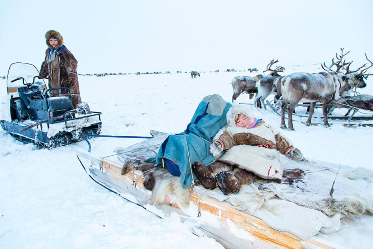 Nenets, bộ lạc sống du mục hàng ngàn năm cạnh tuần lộc và những chú chó ở Bắc Cực Ảnh 6