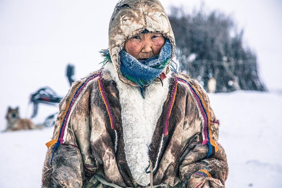 Nenets, bộ lạc sống du mục hàng ngàn năm cạnh tuần lộc và những chú chó ở Bắc Cực Ảnh 12