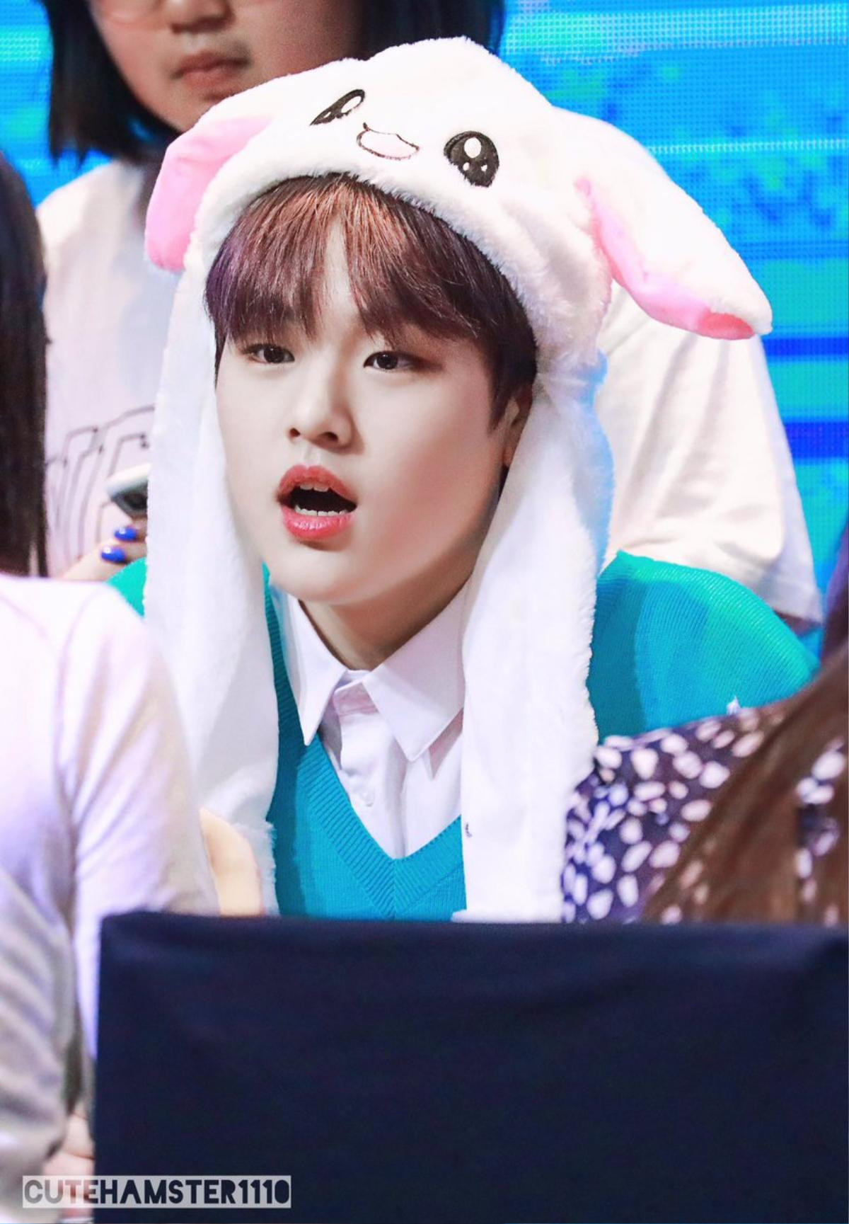 Đóng giả Nam Do Hyun (X1), dân mạng bắt Lee Jin Hyuk (Produce X 101) phải công khai xin lỗi Ảnh 2