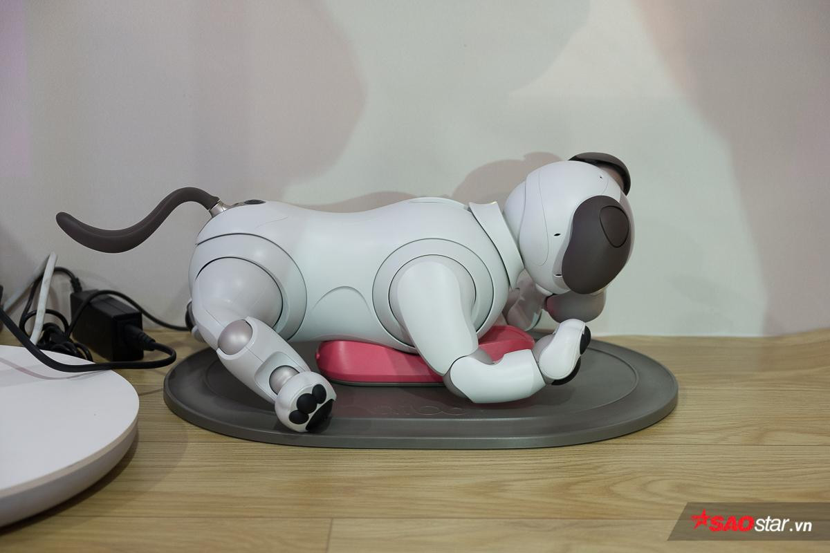 Chó robot Aibo