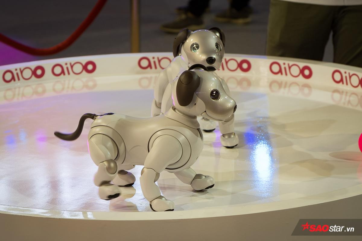 Chó robot Aibo