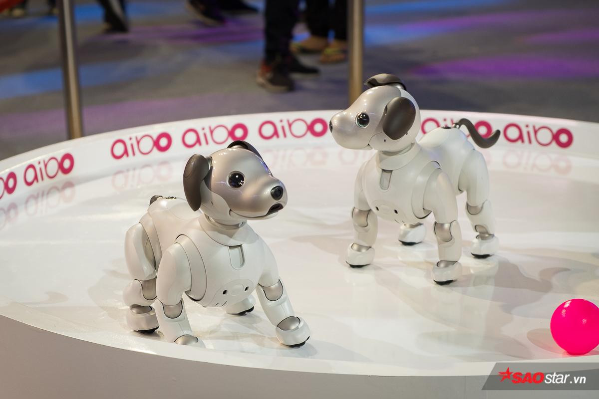 Chó robot Aibo