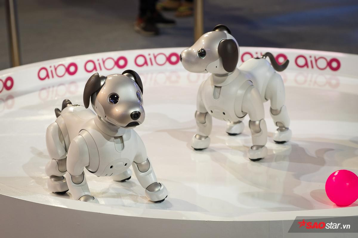 Chó robot Aibo