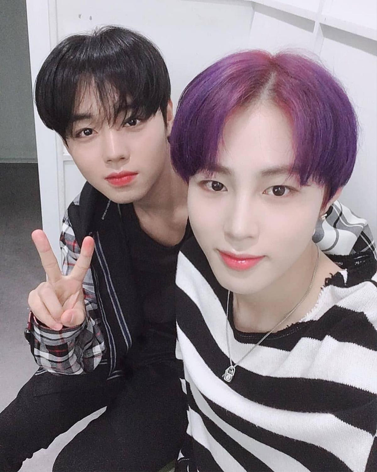 Fan Wanna One hào hứng: Ha Sungwoon sẽ tái ngộ 'tiên tử nháy mắt' Park Jihoon trên chính radio show của mình Ảnh 3