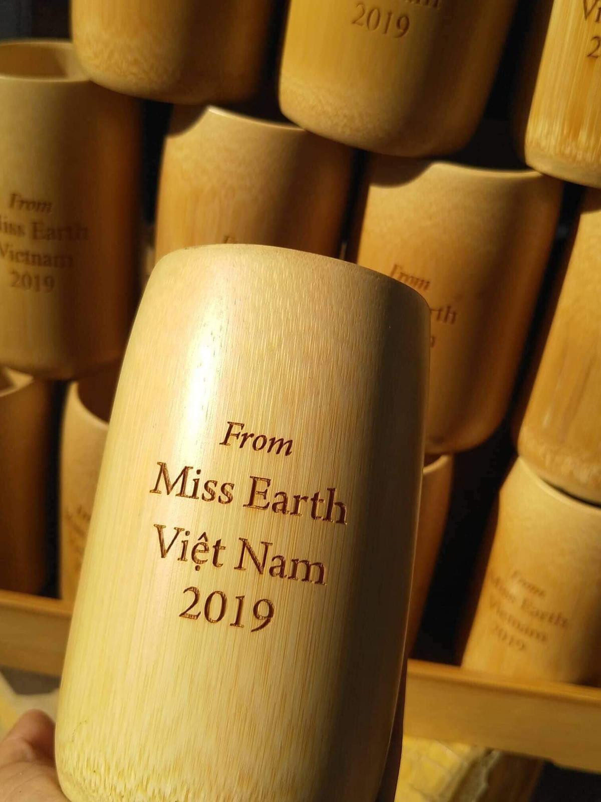 Hoàng Hạnh mang tinh hoa Việt cùng thông điệp không túi nilon đến Miss Earth 2019 Ảnh 2