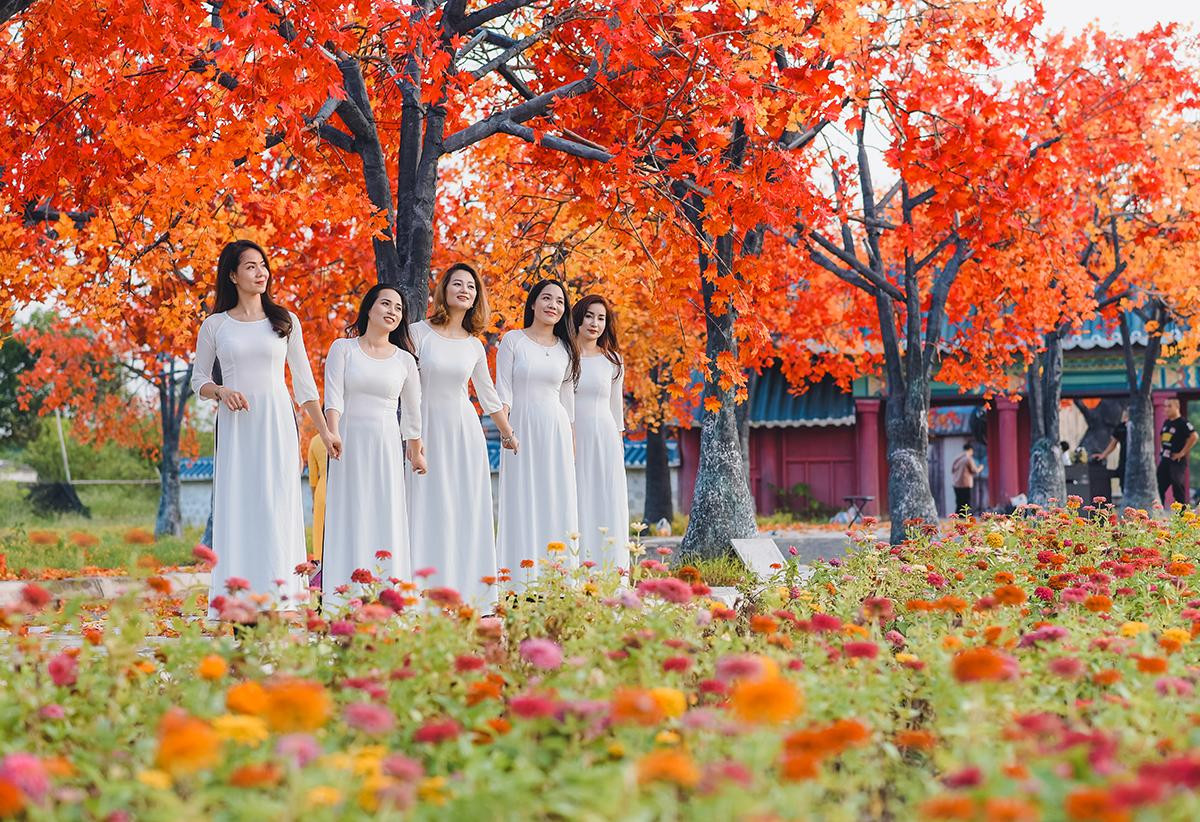 Bạn trẻ đua nhau tạo dáng ở con đường ngập tràn phong lá đỏ đẹp như phim Hàn Quốc ở Hà Nội Ảnh 9