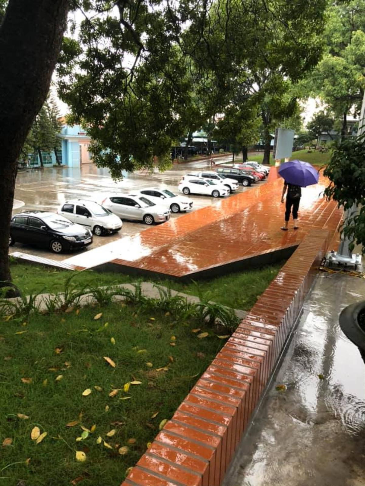 Xe ô tô dàn hàng ngang trong sân trường nhân buổi họp phụ huynh đầu năm khiến CĐM suy đoán: 'Lại xuất hiện thêm trường học 'rich kid' nữa rồi…' Ảnh 2