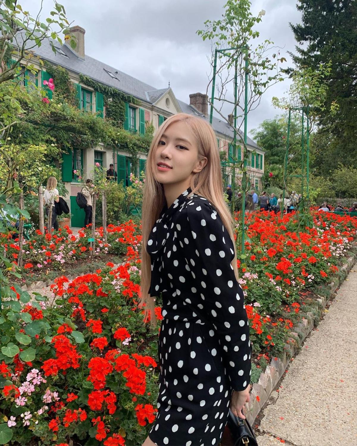 Rosé (BLACKPINK) đăng tải hình chụp đẹp như hoa trên Instagram Ảnh 2