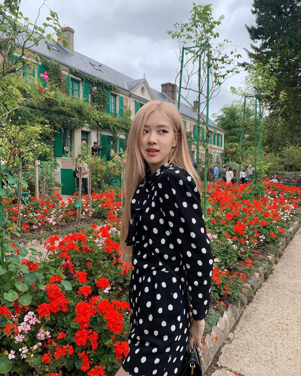 Rosé (BLACKPINK) đăng tải hình chụp đẹp như hoa trên Instagram Ảnh 3