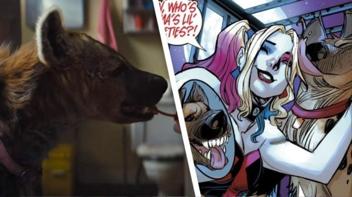 Birds of Prey: Khui hết mọi chi tiết và các nhân vật xuất hiện trong trailer đầu tiên của quái nữ Harley Quinn Ảnh 6