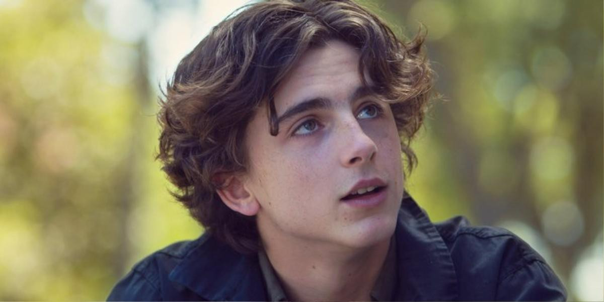 Timothée Chalamet muốn hóa thân vào nhân vật Robin trong The Batman? Ảnh 4