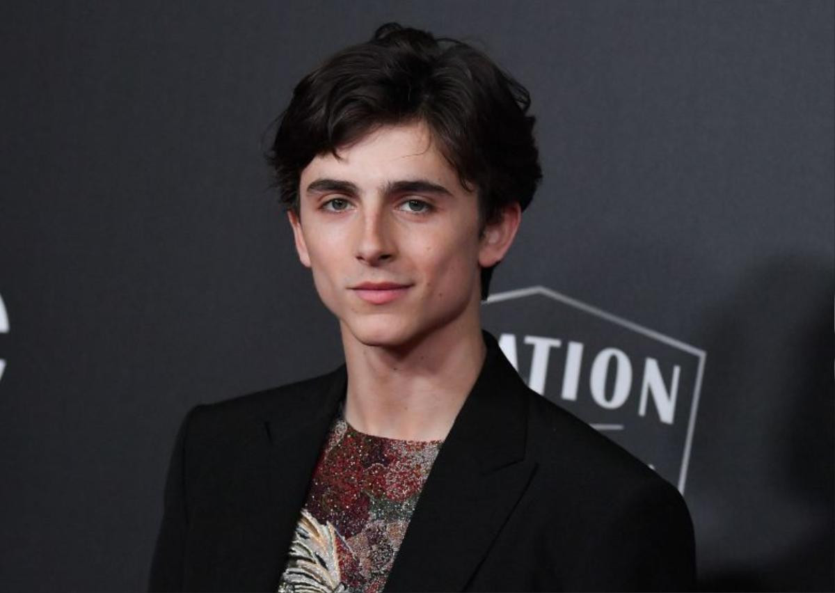 Timothée Chalamet muốn hóa thân vào nhân vật Robin trong The Batman? Ảnh 1