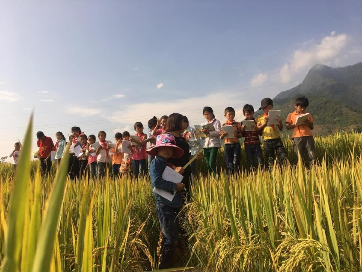 Cô giáo dẫn học trò ra cánh đồng để làm đề văn tả cảnh cánh đồng quê hương đang bước vào mùa gặt nhận nhiều lời khen ngợi Ảnh 3