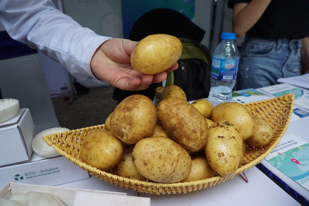 Nam sinh làm bao bì, chén muỗng dùng một lần từ bột khoai tây: ‘Em muốn làm gì đó giảm rác thải nhựa ảnh hưởng đến môi trường’ Ảnh 3