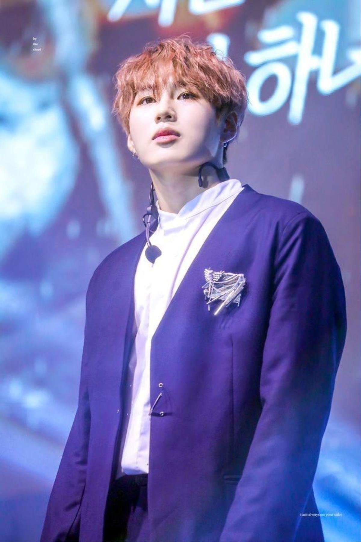 'Mây đại vương' Ha Sungwoon (Wanna One) phát hành ca khúc 'Dream Of A Dream': Phát súng hợp tác đầu tiên cho dự án âm nhạc của 'Fever Festival 2019' Ảnh 1