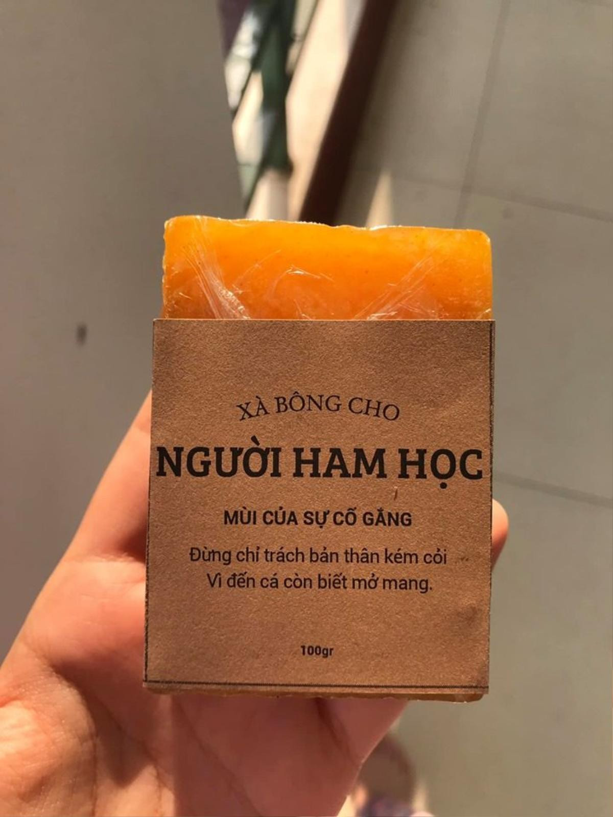 Loạt ‘xà bông’ dành cho học sinh khối chuyên khiến cộng đồng mạng thích thú: ‘Đúng là chỉ có học sinh mới nghĩ ra được!’ Ảnh 9