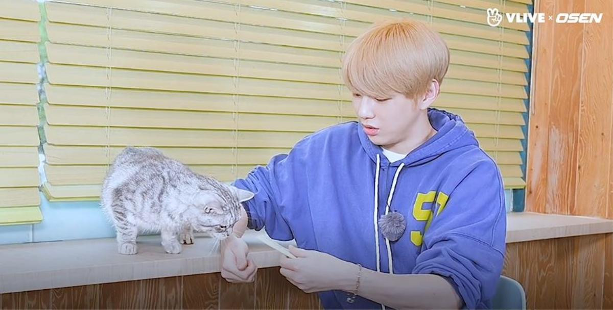 Loạt ảnh chứng minh đến thần tượng như Kang Daniel cũng chỉ là 'con sen' của các boss Ảnh 3