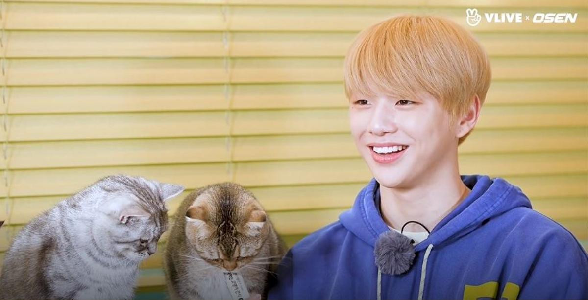 Loạt ảnh chứng minh đến thần tượng như Kang Daniel cũng chỉ là 'con sen' của các boss Ảnh 4