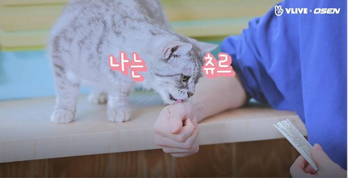 Loạt ảnh chứng minh đến thần tượng như Kang Daniel cũng chỉ là 'con sen' của các boss Ảnh 5