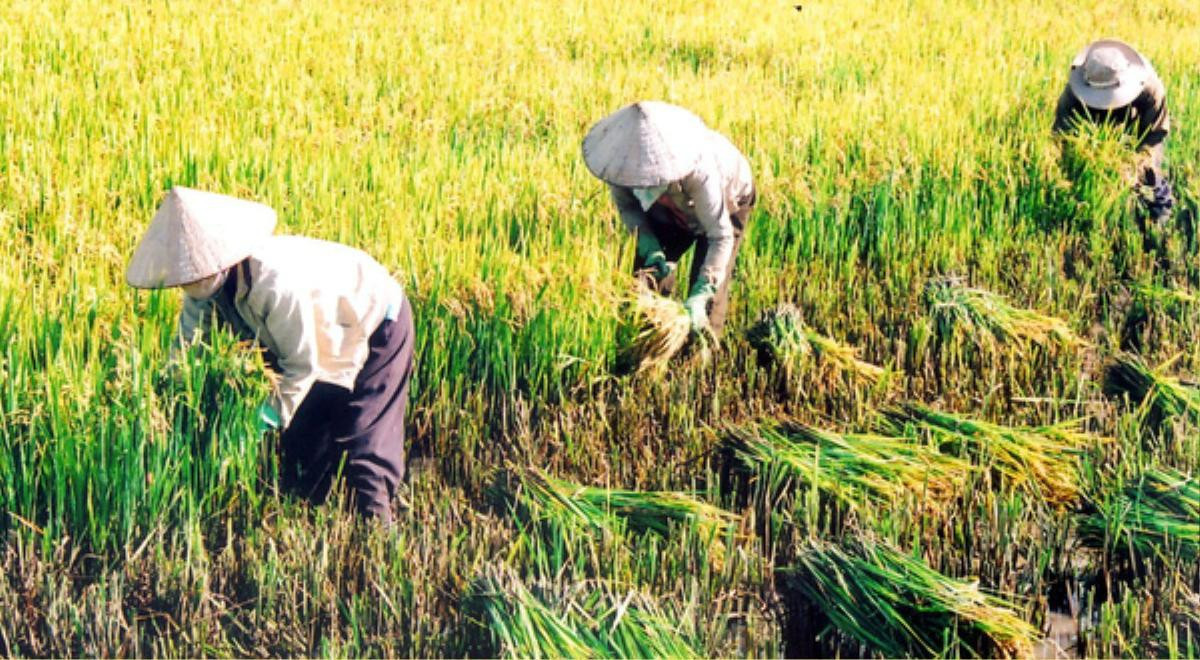 Tâm sự câu chuyện tự ti về hoàn cảnh gia đình và 'nơm nớp lo sợ' người khác biết mẹ mình lam lũ, nam sinh nhận không ít lời chỉ trích từ CĐM Ảnh 3