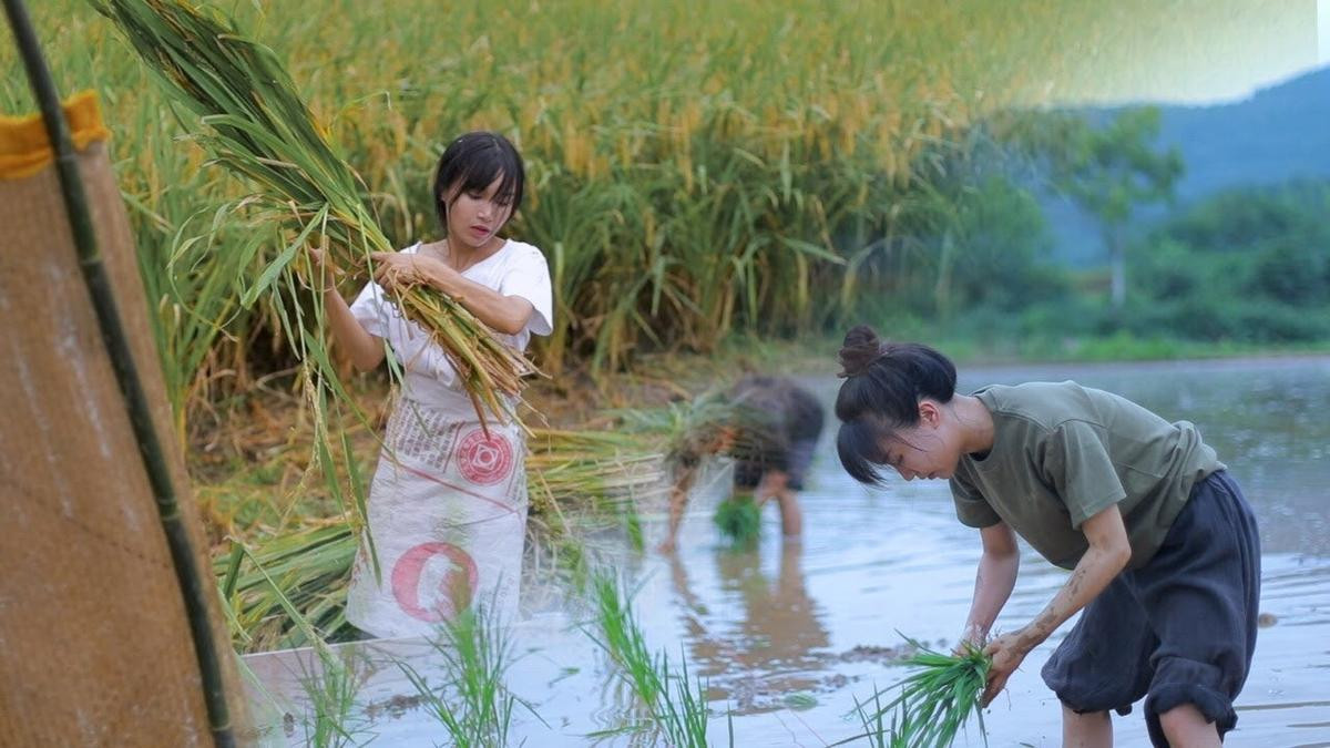 Lý Tử Thất