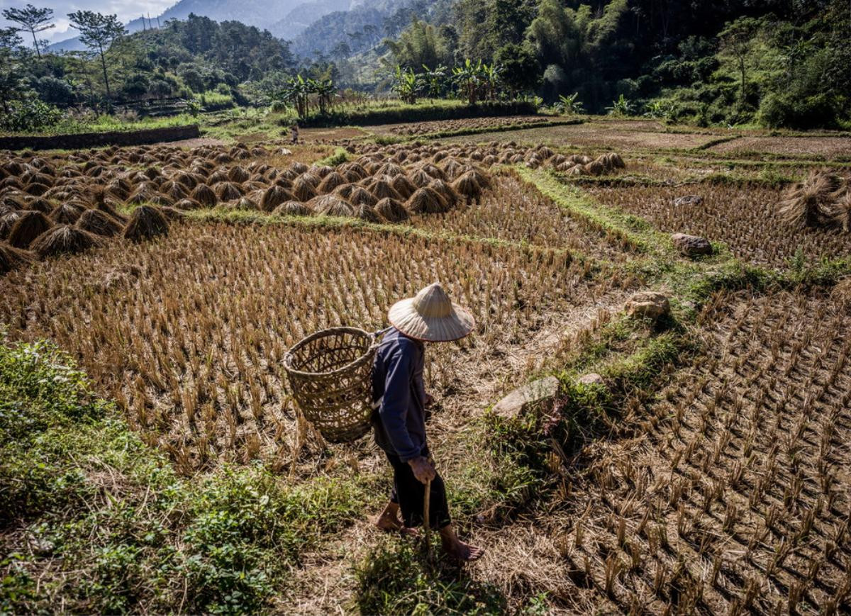 Nhiếp ảnh gia nổi tiếng người Mỹ và mối duyên nợ chưa bao giờ hết với Việt Nam Ảnh 16