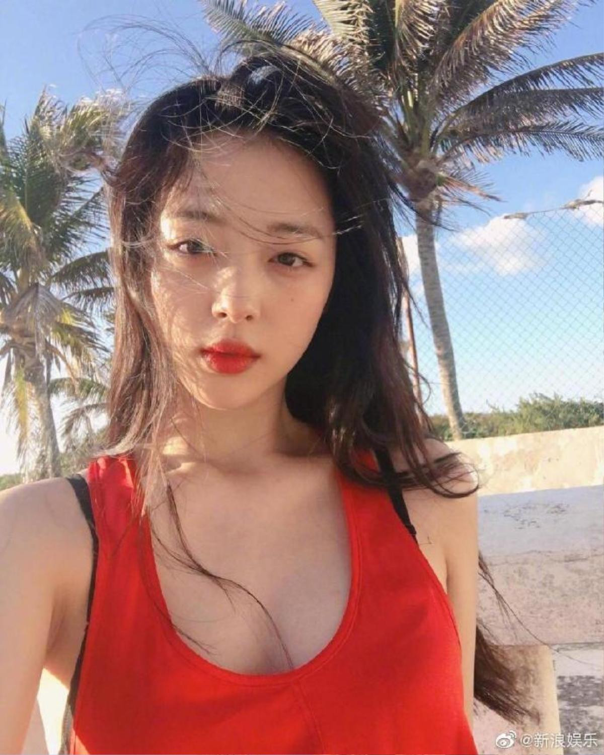 Weibo sập, dân mạng Trung bàng hoàng và khóc thương khi hay tin Sulli qua đời Ảnh 4