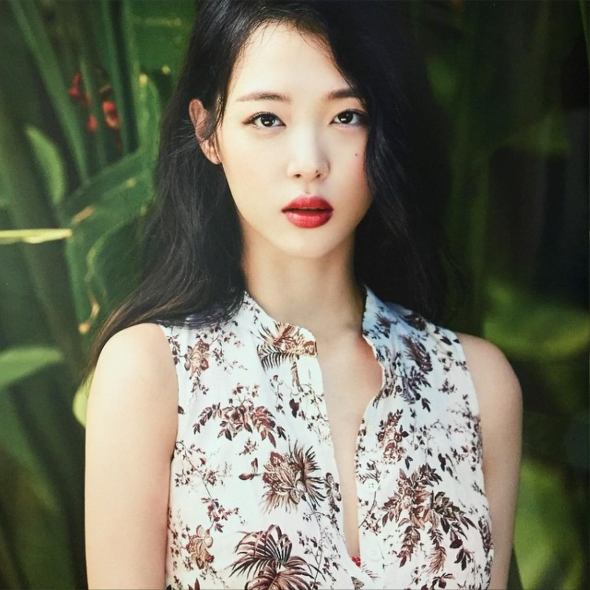 Sulli tự tử vì trầm cảm, fan kêu gào dừng hành động bạo lực mạng? Ảnh 3