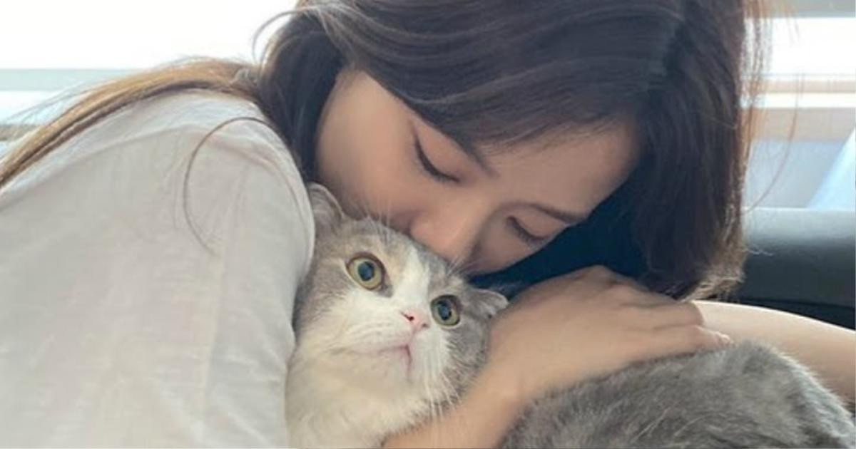 Ngọt ngào khoảnh khắc Jisoo âu  yếm chú mèo của Lisa Ảnh 1