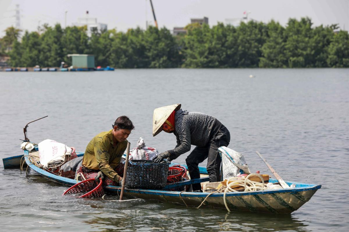 Bắt vẹm đen kiếm tiền triệu mỗi ngày ở ngã ba sông Hàn Ảnh 5