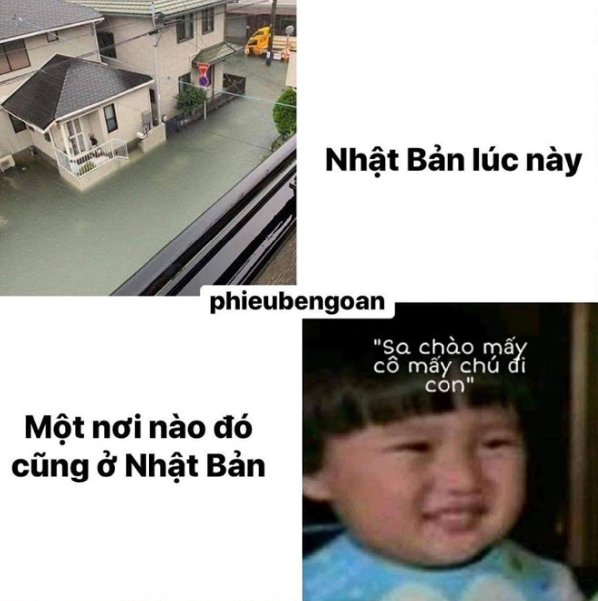 Cậu bé lai Việt - Nhật và câu nói 'Sa chào cô chú đi con!' bỗng trở thành hiện tượng khắp mạng xã hội Ảnh 10