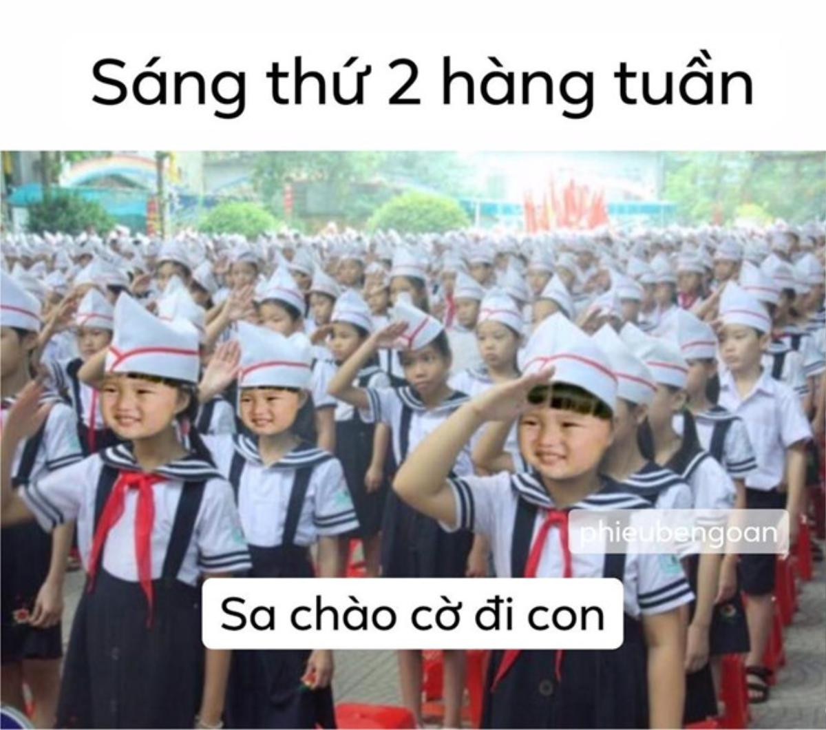 Cậu bé lai Việt - Nhật và câu nói 'Sa chào cô chú đi con!' bỗng trở thành hiện tượng khắp mạng xã hội Ảnh 9