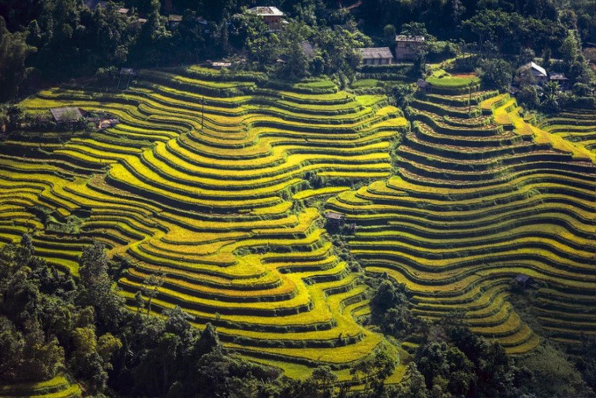 Những 'nấc thang lên trời' ở Hoàng Su Phì Ảnh 1