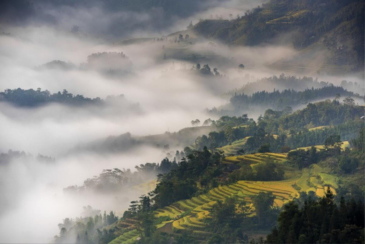 Những 'nấc thang lên trời' ở Hoàng Su Phì Ảnh 5