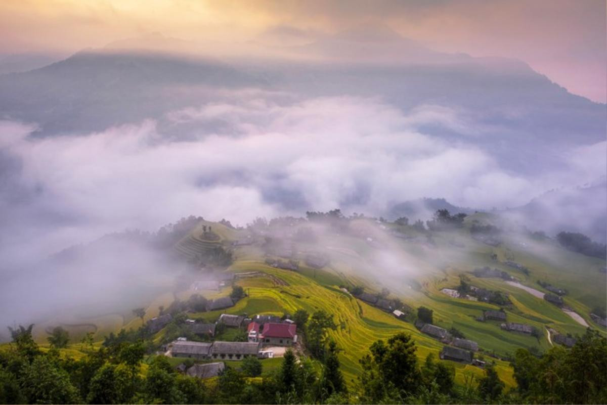 Những 'nấc thang lên trời' ở Hoàng Su Phì Ảnh 6