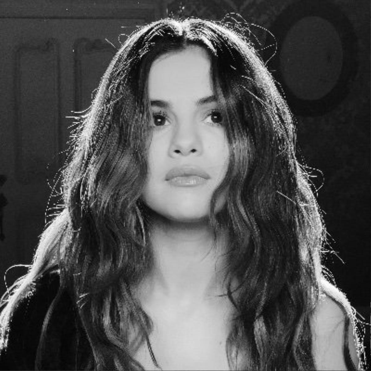 Selena Gomez nhận được liên hoàn tim từ người tình tin đồn Niall Horan Ảnh 3