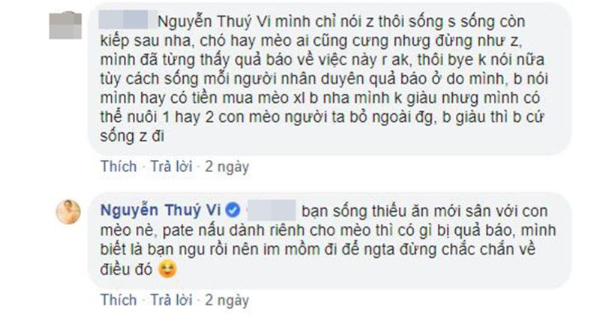 Thúy Vi đáp trả 'cực gắt' khi bị cư dân mạng 'trù ẻo' vì cho mèo ăn quá sang Ảnh 6