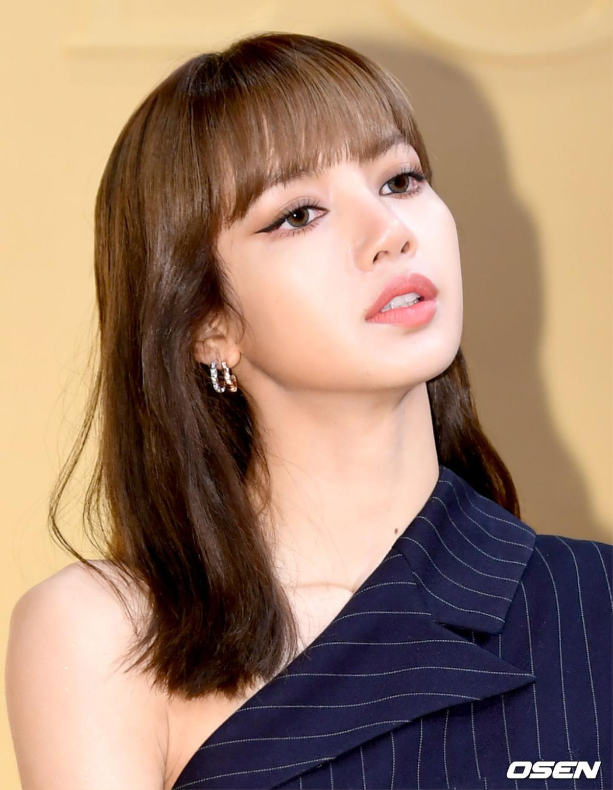 Knet kinh ngạc trước nhan sắc Lisa (Blackpink): Vừa khen vừa tố sửa mũi Ảnh 6