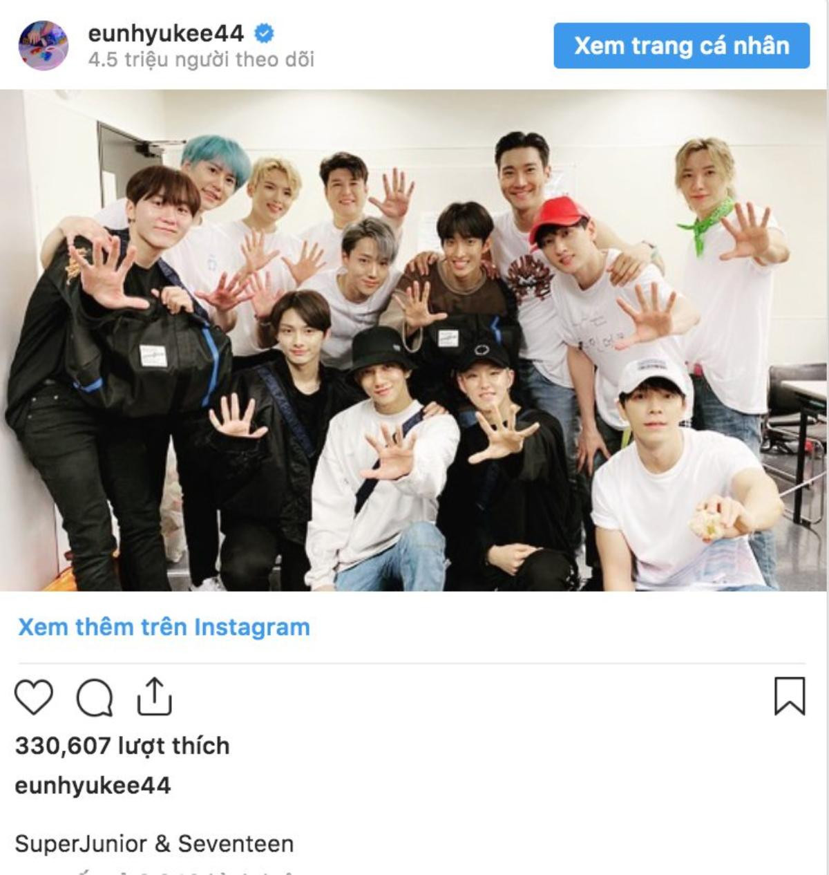 Có tâm như SEVENTEEN, vừa cổ vũ dưới hàng ghế khán giả vừa đi ăn tối cùng Super Junior Ảnh 1