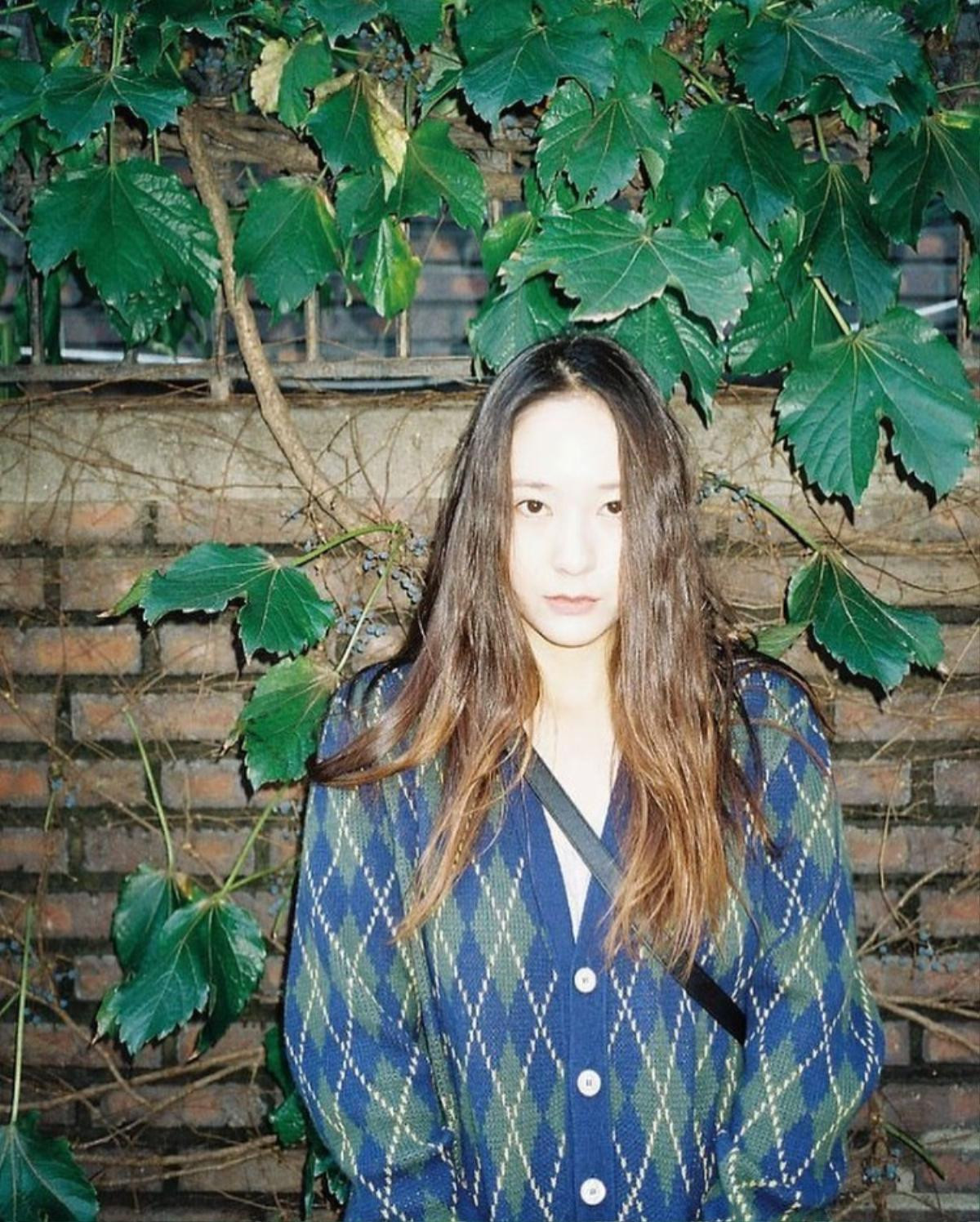 Krystal 'lộ diện' trên Instagram sau khi Sulli qua đời, Knet phản ứng thế nào? Ảnh 1