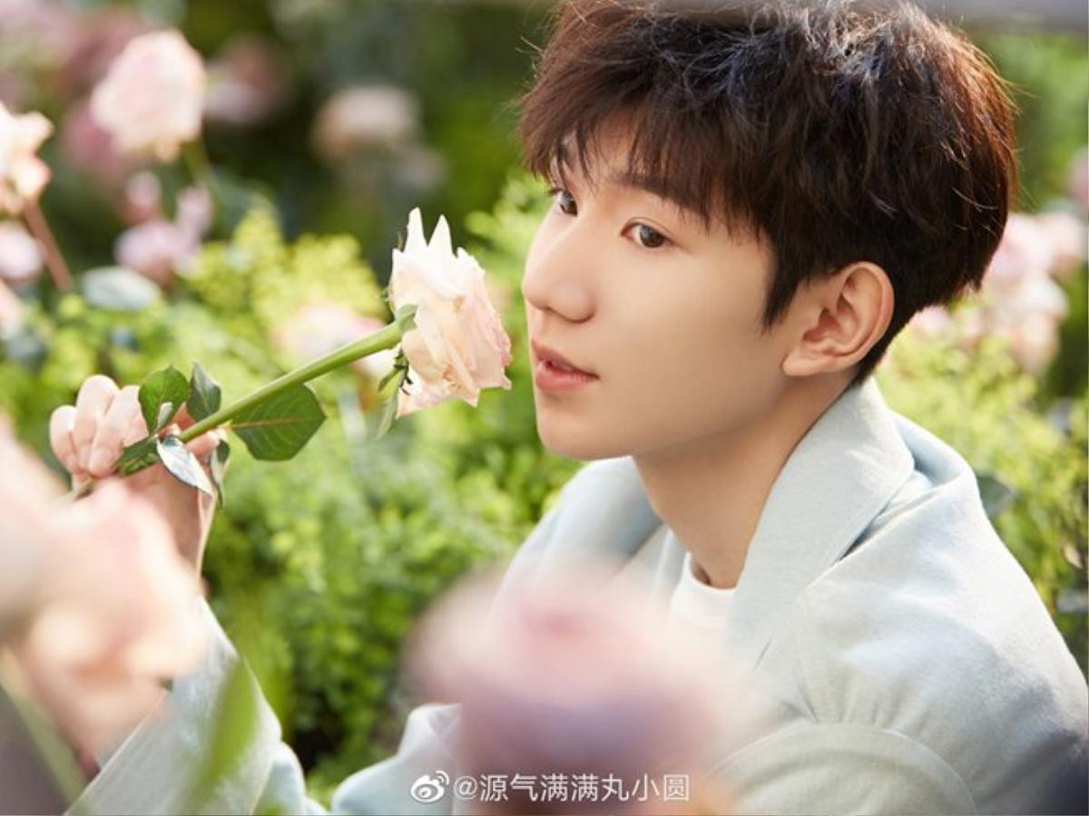 So sánh thu nhập, cát sê của ba thành viên TFBoys - Dù là nhóm trưởng nhưng Vương Tuấn Khải chẳng thể đứng đầu Ảnh 8