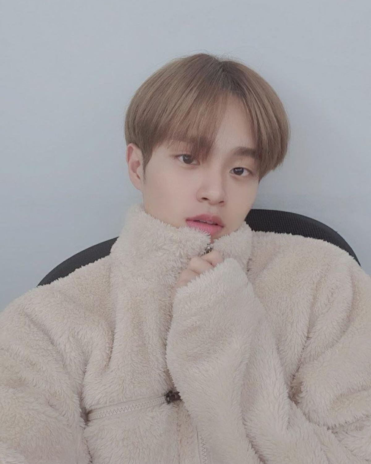 Lee Daehwi (Wanna One/AB6IX) gây chú ý với màn đáp trả song ngữ 'cực gắt' bình luận ác ý từ anti fan Ảnh 2