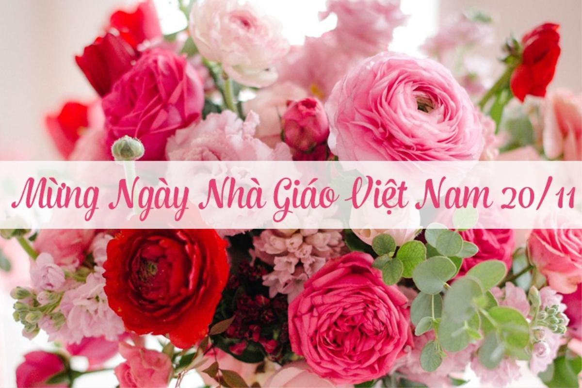 Những bài thơ hay về thầy cô nhân ngày Nhà giáo Việt Nam 20/11 Ảnh 1