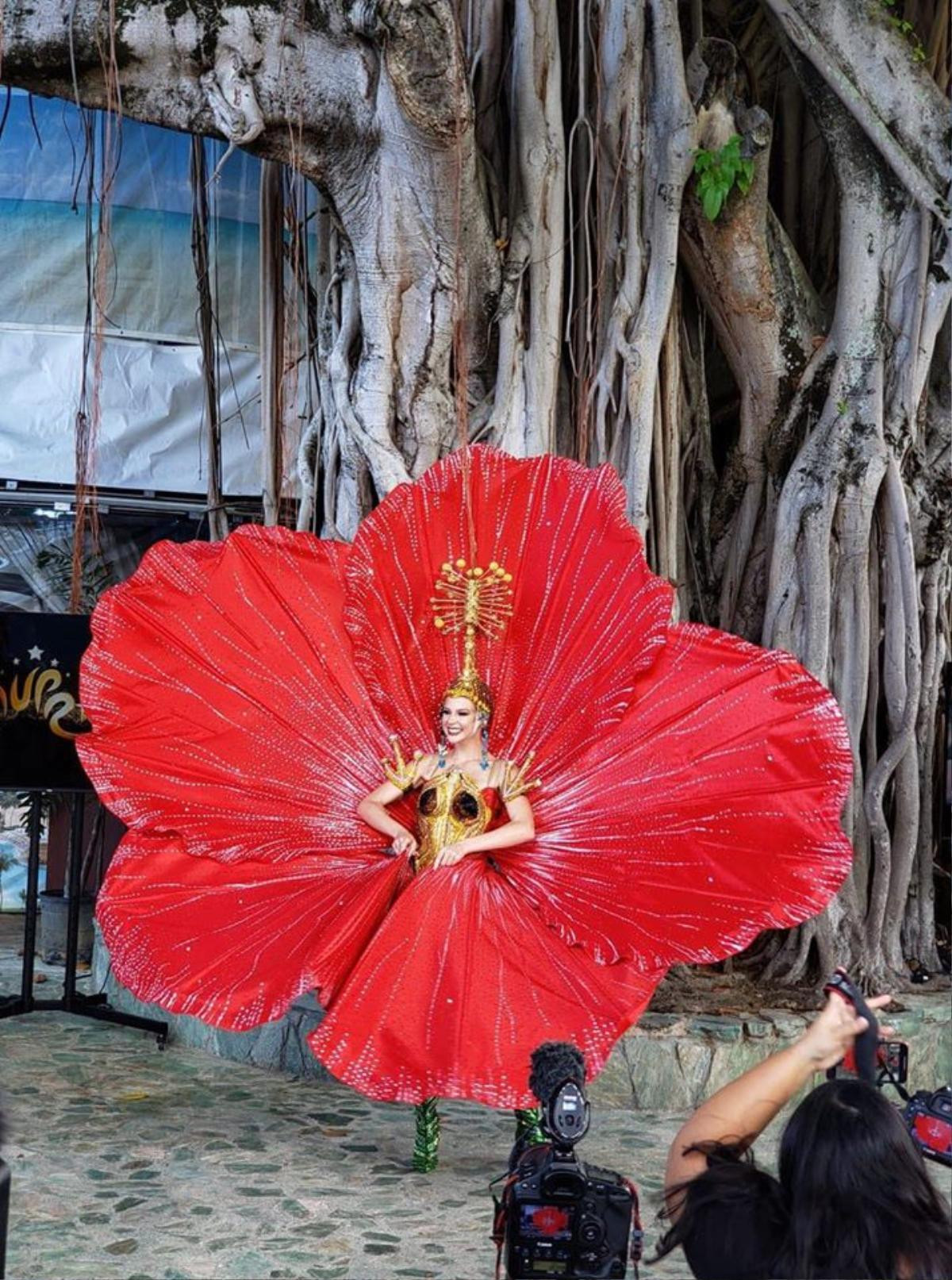 Hoa hậu Puerto Rico công bố trang phục dân tộc 'Hoa dâm bụt' đối chọi với Hoàng Thùy tại Miss Universe 2019 Ảnh 8