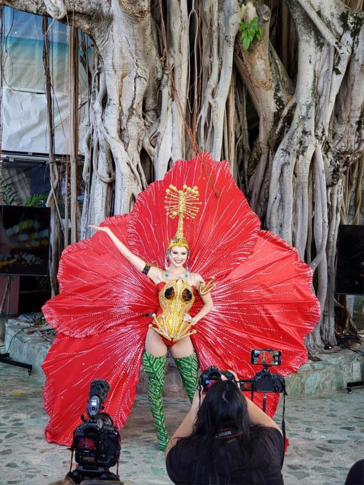 Hoa hậu Puerto Rico công bố trang phục dân tộc 'Hoa dâm bụt' đối chọi với Hoàng Thùy tại Miss Universe 2019 Ảnh 2