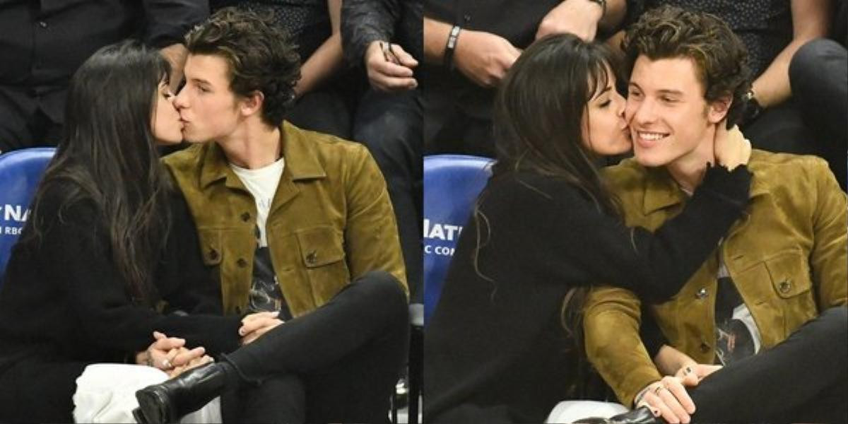 Shawn Mendes kết hợp Taylor Swift, Camila tung thính album mới cùng lúc: Đúng chuẩn 'đôi bạn' cùng tiến Ảnh 4